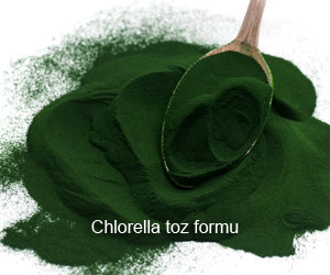 Chlorella Klorella Toz Formu